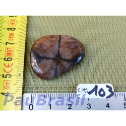 Chiastolite Andalousite mini pierre plate de 9g