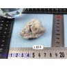 Smithsonite en pierre brute Q Extra 79gr pierre Rare