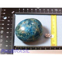 Apatite Bleue en galet poli jumbo 168g