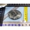 Diorite orbiculaire pierre plate de 23gr Rare