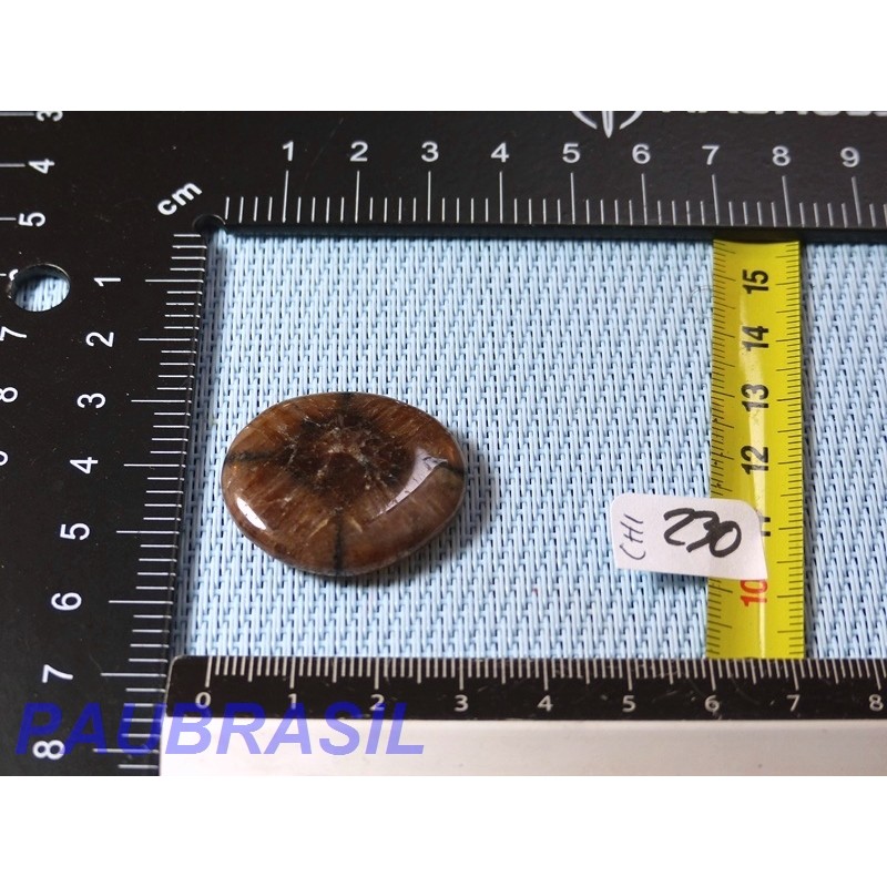 Chiastolite Andalousite mini pierre plate de 11g