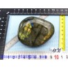 Labradorite polie de 164gr Q moyenne