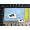 Moldavite en Pierre Brute 0gr57 Q Extra