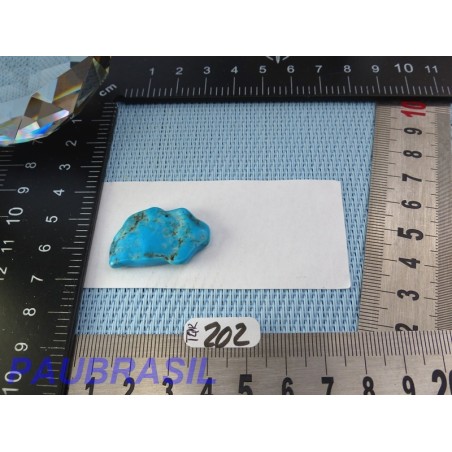 Turquoise de Chine Q Extra "plaquette" de 4gr