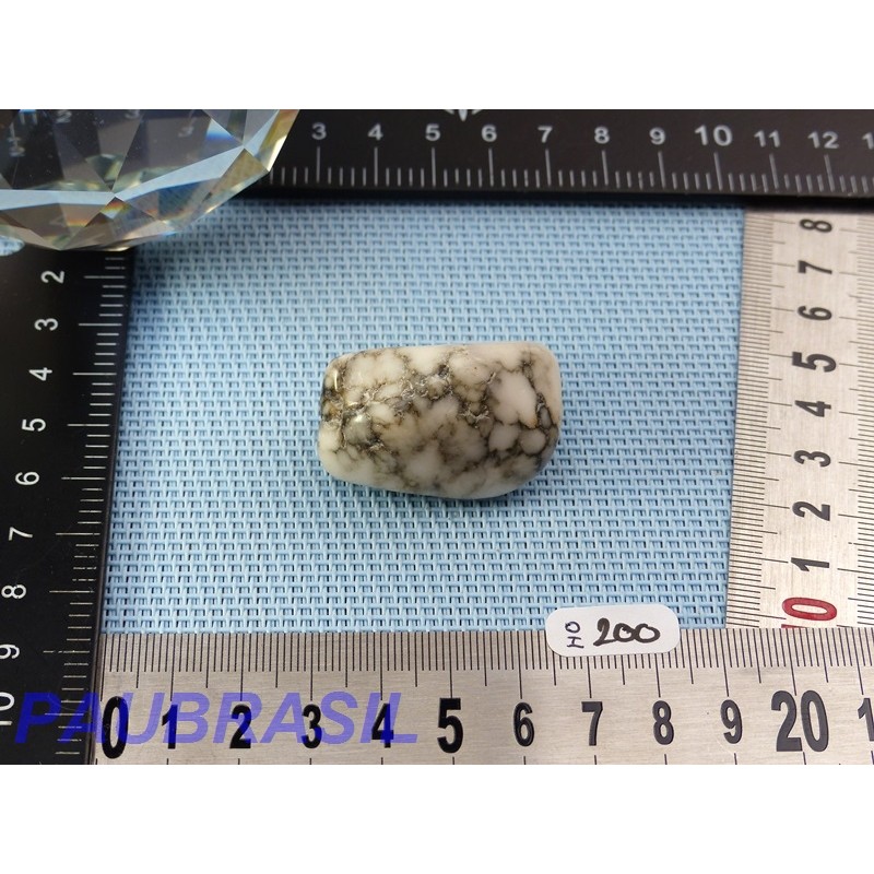 Howlite Véritable en Pierre Roulée 32g